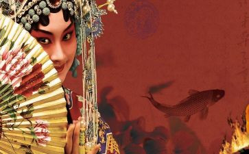 京剧猫的作文7篇