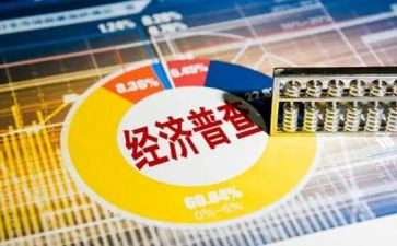 乡镇四经普个人先进事迹7篇