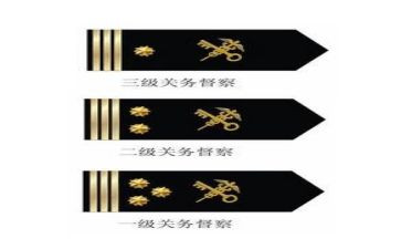 2024警衔培训心得7篇