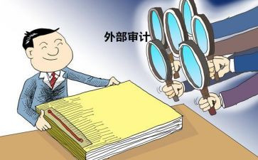 局局长经责审计述职报告5篇