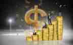 金融实习报告5篇