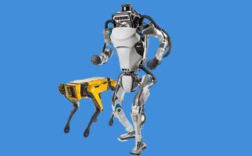 机器狗教案通用8篇