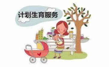 计生统计工作总结5篇