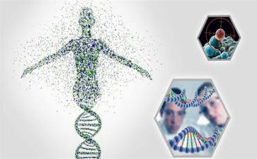 扬红色基因的心得体会8篇
