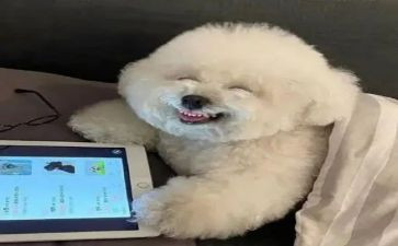 最开心的一件事200字作文5篇