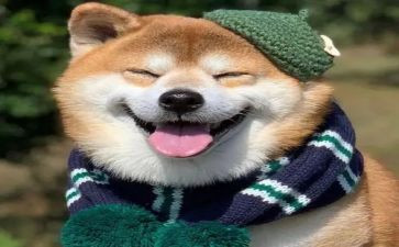 我真开心作文400字作文7篇