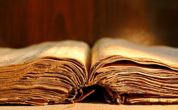 桥课文读后感7篇