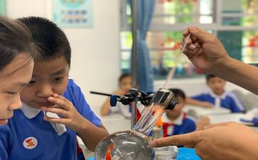 小学科学课工作计划8篇