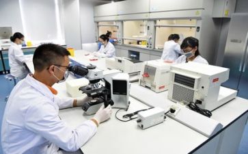 科研工作计划模板6篇