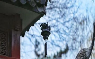 苦为主题的作文800字通用8篇