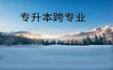 跨专业申请书模板推荐8篇