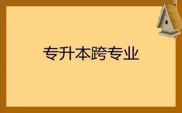 跨专业的实习报告6篇