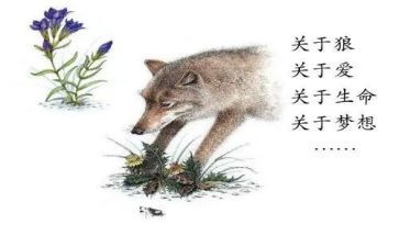 狼王梦读后感400字6篇