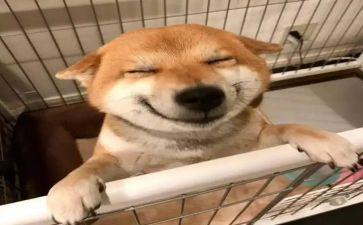 快乐61作文200字精选7篇