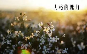 汉字的魅力演讲稿8篇