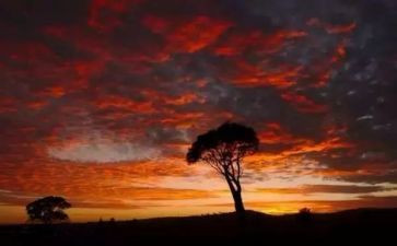 笑的魅力500字作文通用6篇