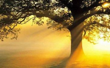 笑的魅力作文800字6篇