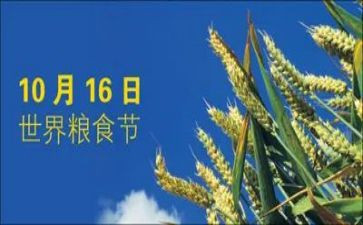 爱粮食节约粮食演讲稿优质6篇