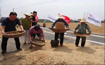 关于粮食节约的演讲稿7篇