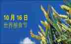 爱粮食节约粮食演讲稿优质6篇