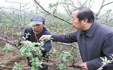 李保国事迹的心得体会8篇
