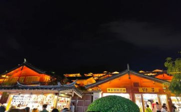 丽江游作文600字7篇