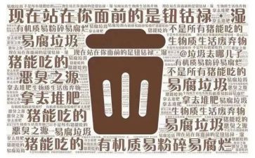 垃圾分类感想心得5篇