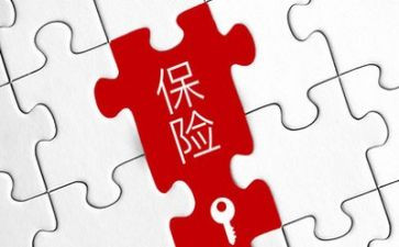 保险理赔年度工作总结5篇