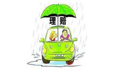 理赔个人总结6篇