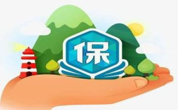 保险理赔的心得5篇