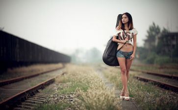 保护流浪动物倡议书5篇