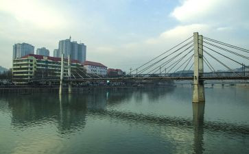 《柳林风声》读后感500字_读后感7篇