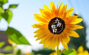 幼儿园三到六月份工作计划6篇