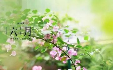 六月份班级工作总结7篇