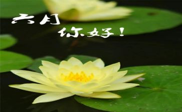 过六月六的心得体会8篇