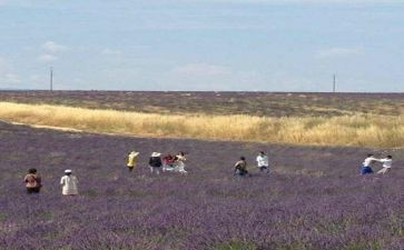 历险类作文通用6篇