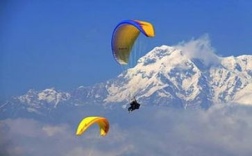 汤姆斯历险记读后感5篇