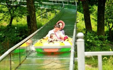 读汤姆索亚历险记读后感优秀5篇