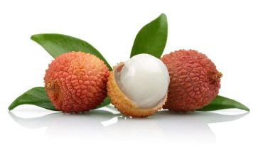 长安的荔枝读后感8篇