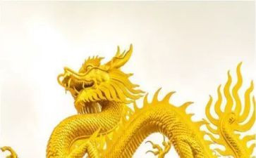 关于龙的调查报告最新7篇