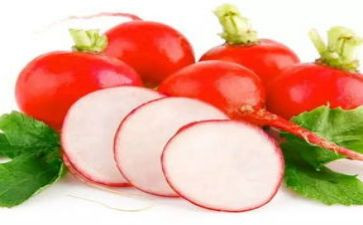 兔子运萝卜小班教案5篇