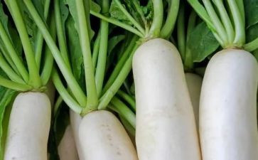 种萝卜体育教案6篇