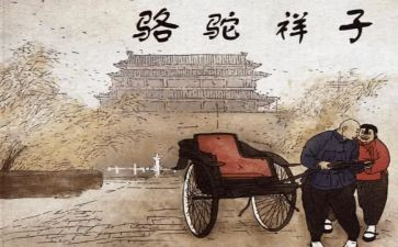 骆驼祥读后感100字5篇