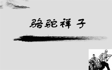 骆驼的读后感模板5篇
