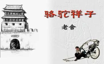骆驼读后感600字7篇