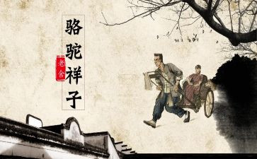 骆驼的读后感8篇