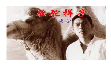 骆驼祥子阅读心得体会6篇