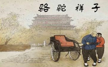 骆驼读后感100字7篇