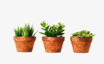 普通绿化工的述职报告5篇