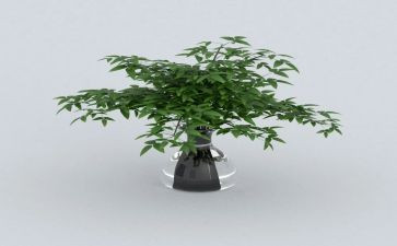 小区绿化个人总结5篇